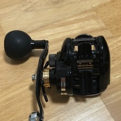 ダイワ ヴァデルBJ 100SHL(左ハンドル)の画像