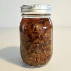 夏の虫刺され・入浴剤におすすめ！　分量たっぷり無農薬ドクダミチン...