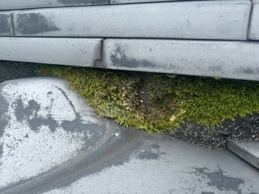 車のパーツ 外装、車外用品