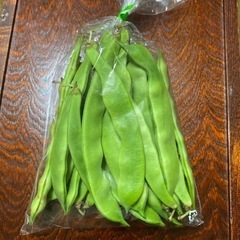 モロッコいんげん