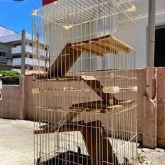 動物ゲージの画像