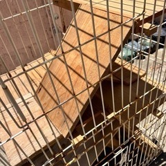 動物ゲージの画像