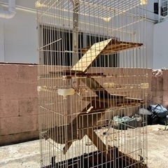 動物ゲージの画像