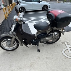 リトルカブ 50 の画像