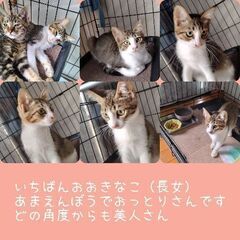決まりました！ありがとうございました。かわいい三姉妹