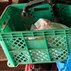 採集コンテナ 野菜や果物の収穫などプラ箱 各300円の画像