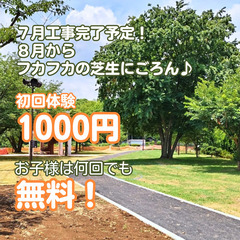 お子様無料！パークヨガ｜毎週土曜10時｜夢見ヶ崎動物公園の画像