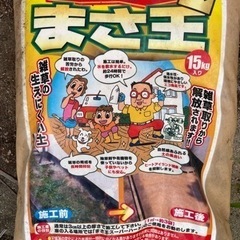 固まる土　まさ王