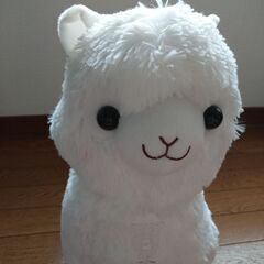 お得アルパカセット