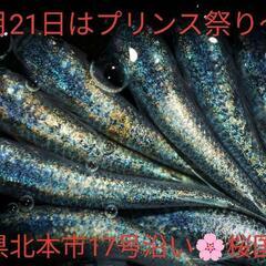 🌸7月21日🌸高級メダカの激安展示販売🌸桜国屋様🌸