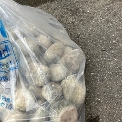 決まりました　
庭石　　無料の画像