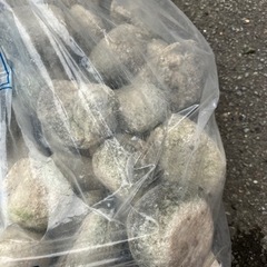 決まりました　
庭石　　無料の画像