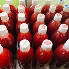 PSB（光合成細菌）500ml×2本 の画像