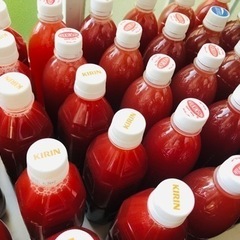 PSB（光合成細菌）500ml×2本 の画像