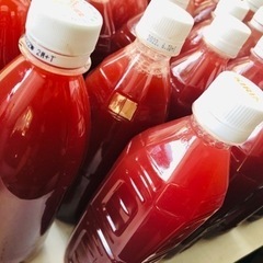PSB（光合成細菌）500ml×2本 の画像
