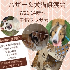 バザー＆犬猫譲渡会