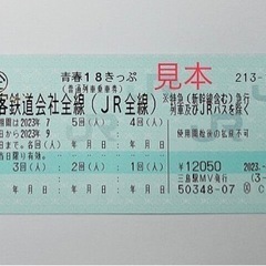 青春18きっぷ 2024 夏　チケット 新幹線/鉄道切符 