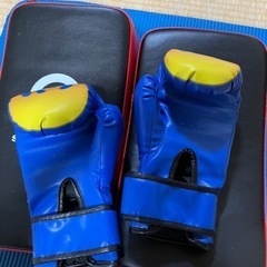 親子で キックボクシング セット 