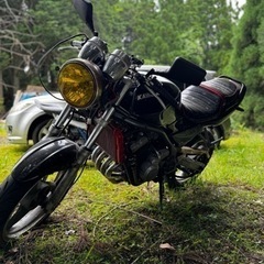 バリオス 1型