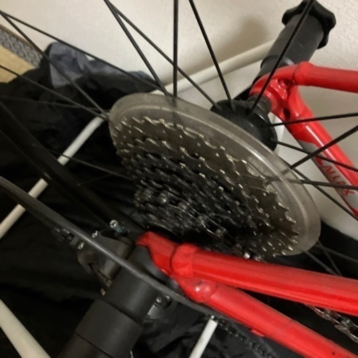 GIANT CONTEND2【2021】