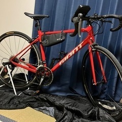 GIANT CONTEND2【2021】