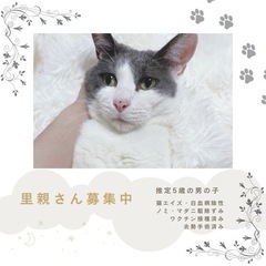 甘えん坊な男の子✨