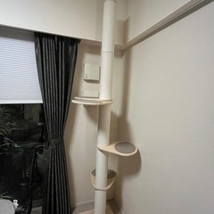 キャットタワー差し上げますの画像