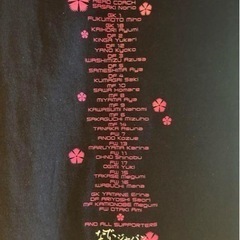 なでしこジャパン2012 シャツの画像