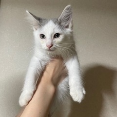 決まりました🎶の画像