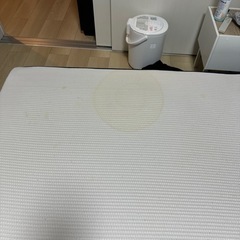 トゥルースリーパー　ダブルの画像