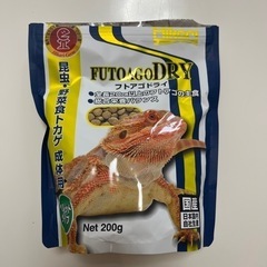 ヒカリ (Hikari) フトアゴドライ