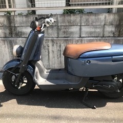 YAMAHA   vox