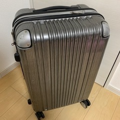 キャリーバッグMの画像