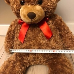 約40cmのくまのぬいぐるみの画像