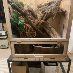 クワリウム