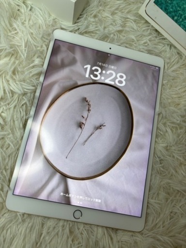 iPad Pro10.5 ゴールド 512GB Apple pencil付き