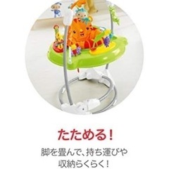 フィッシャープライス レインフォレスト ジャンパルー2の画像