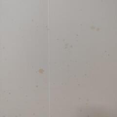 家具 収納家具の画像