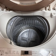 家電 生活家電 洗濯機