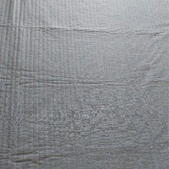 ニトリ　夏用ラグの画像