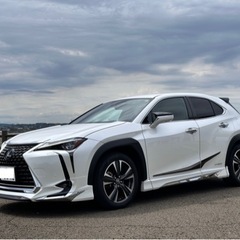 ux250h バージョンL