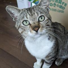 甘えん坊なきーくん☆推定3才