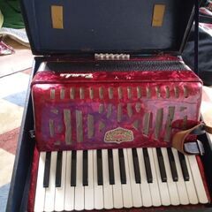 Accordion　アコーディオン