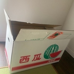 スイカ1玉の画像