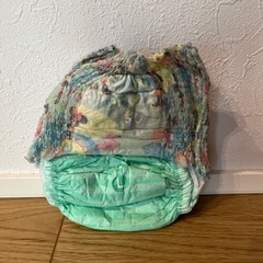 水遊び用パンツBig4枚(＋L1枚)の画像