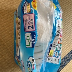 大人用紙オムツの画像