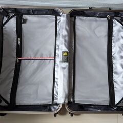 ALIスーツケースの画像