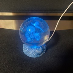 クラゲ　インテリアの画像