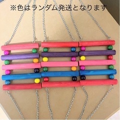 【ラスト1点！】　バードトイ 鳥 ブランコの画像
