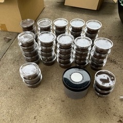 カブトムシの幼虫の画像